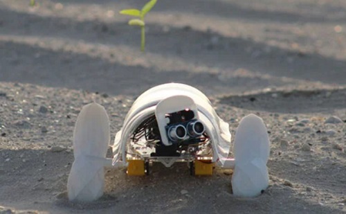 Mesterséges intelligencia - Kertté varázsolja a sivatagot egy robot?