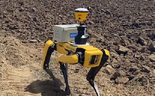Mesterséges intelligencia - A földeken teljesít szolgálatot a robotkutya