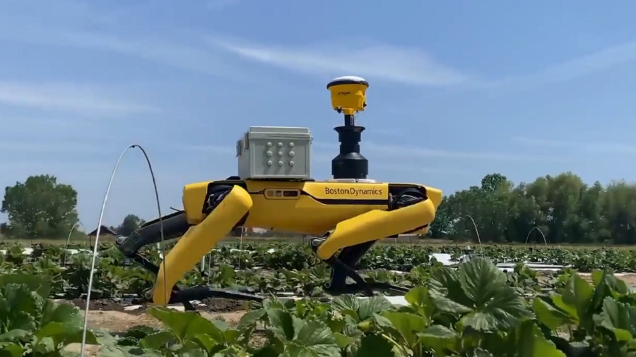 Mesterséges intelligencia - Földeken járőröz a Boston Dynamics robotkutyája 