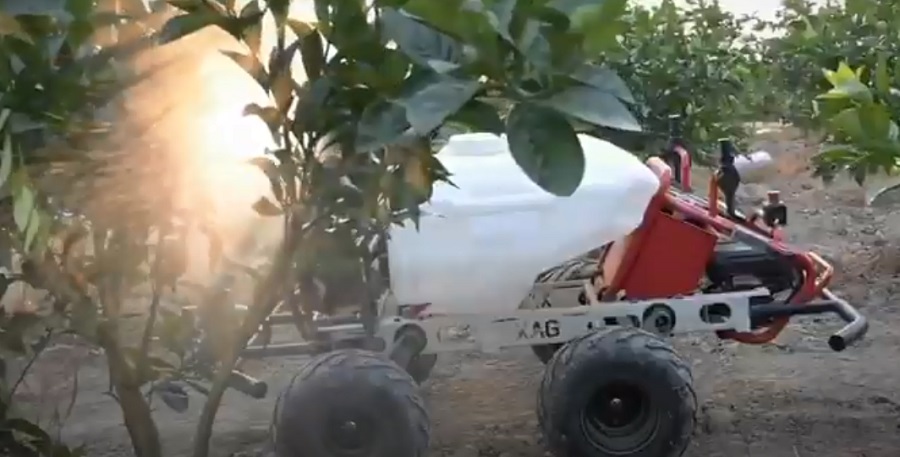 A mesterséges intelligencia-vezérelt robot könnyedén beporozza és permetezi az almaültetvényt