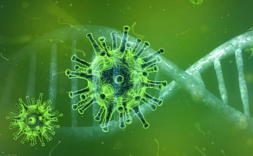 Genetikai változások felelnek a koronavírus hosszútávú hatásaiért? 