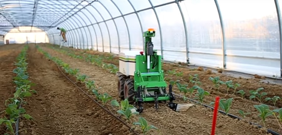 Komoly elismerést kapott a mesterségesen intelligens Oz mezőgazdasági robot