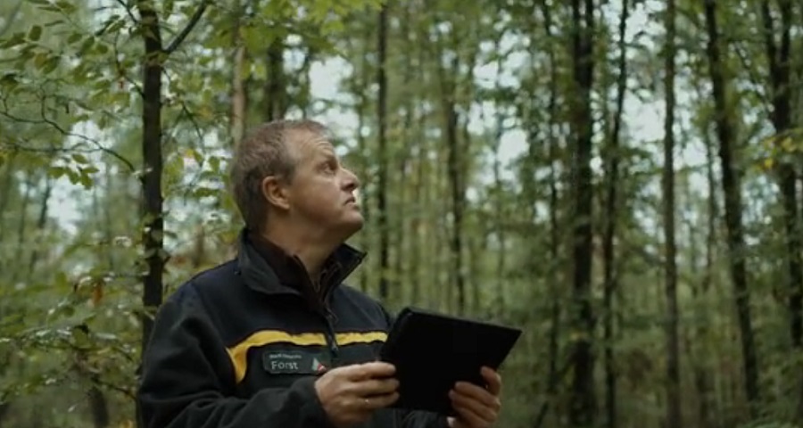 Mesterséges intelligencia segít felmérni és kezelni az erdőket Németországban