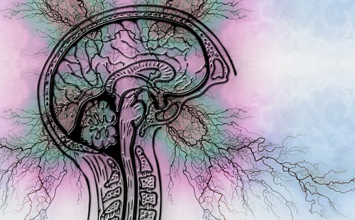 Epilepszia – MRI-n se látható rendellenességet észlel a mesterséges intelligencia