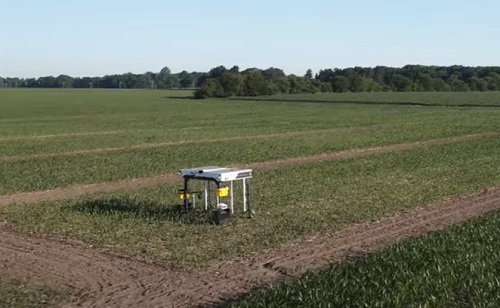 Mesterséges intelligencia - Gyomláló robotok és drónok áraszthatják el a földeket