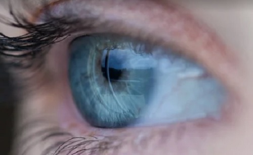 Mesterséges intelligencia – Szívroham esélyéről árulkodhat a retina rejtett mintázata
