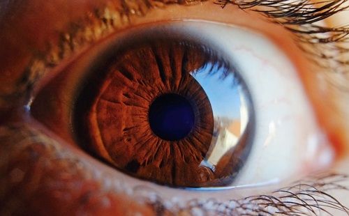 Mesterséges intelligencia - Megmondható a halálozás kockázata a retina alapján?