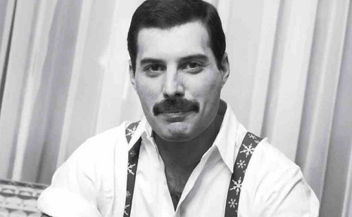 Nagy sikert aratott a Freddie Mercury-külsejű macska