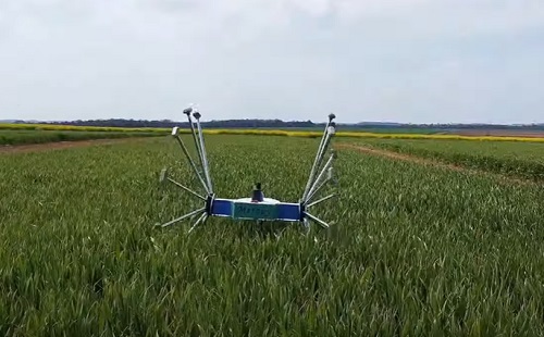 Mesterséges intelligencia - Nem kerék: meghökkentő külsejű robot figyeli a növényeket