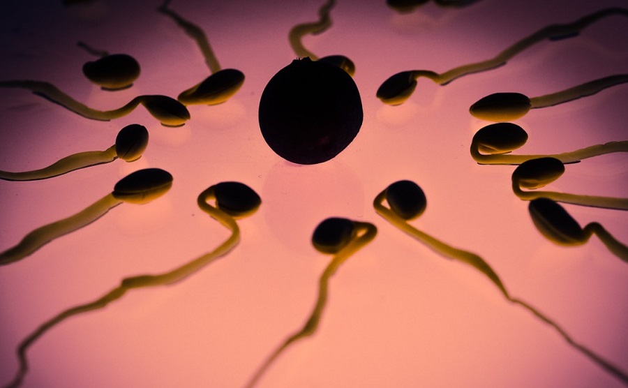 Károsítják a spermiumokat az elektromágneses hullámok a szakértők szerint