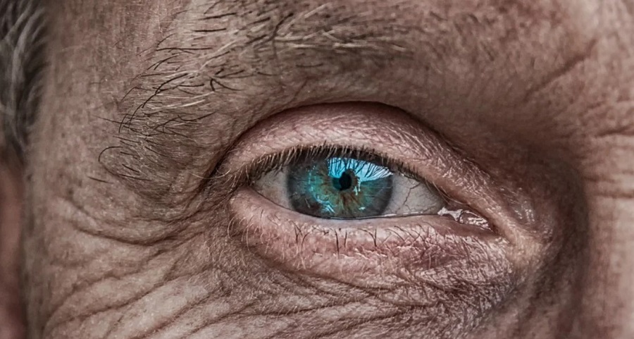Javítottak egy idős nő látásán mesterséges intelligencia segítségével