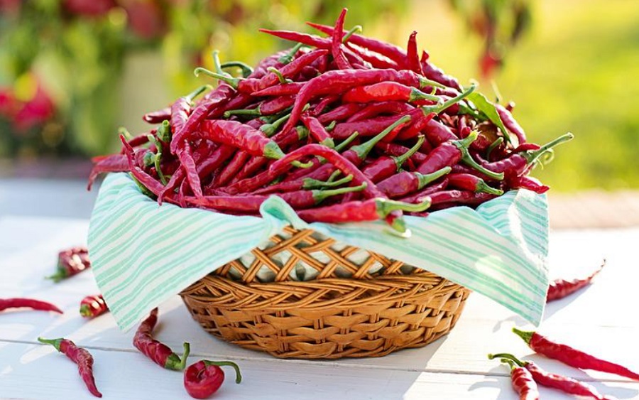 A chili paprika lehet a rák gyógymódjának kulcsa