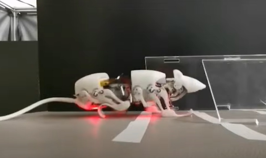 Mesterséges intelligencia - Robotpatkány segíthet a törmelék alatt rekedt embereknek