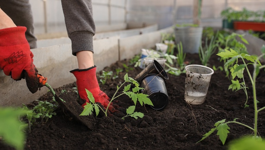 A hetente kertészkedés csökkentheti a korai halál kockázatát