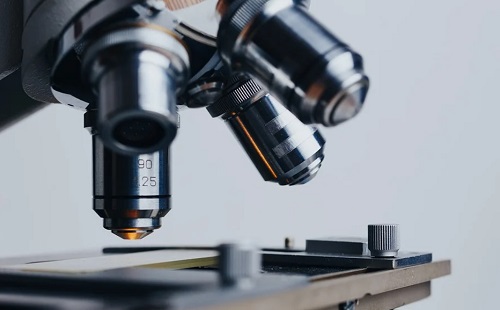 Virtuális daganatok és mesterséges intelligencia lehet a rákterápia jövője