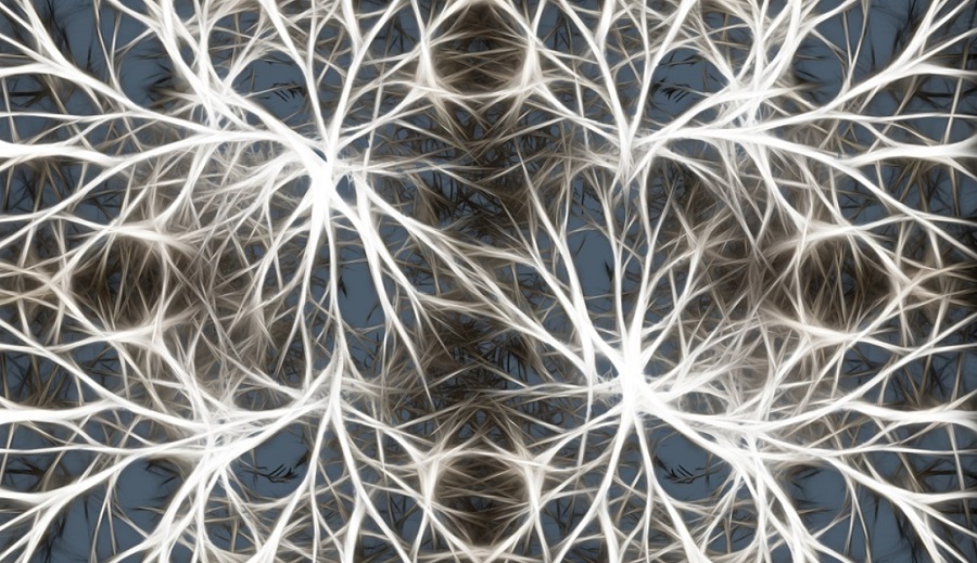A mesterséges neurális hálózatok jobban tanulnak, ha azzal is töltenek időt, hogy egyáltalán nem tanulnak