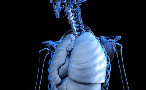 Tüdődiagnosztika - Enyhítheti a kórházak túlterheltségét a mesterséges intelligencia