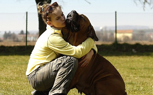 Kiszagolják a kutyák, ha stresszes az ember