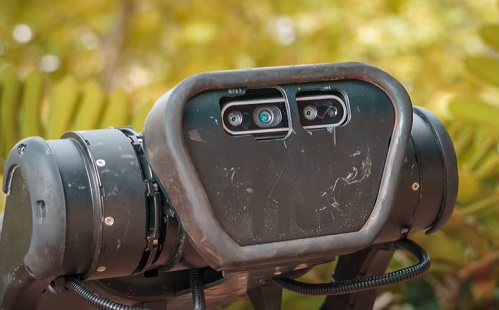 Mesterséges intelligencia - Négylábú robotok futnak a vadonban