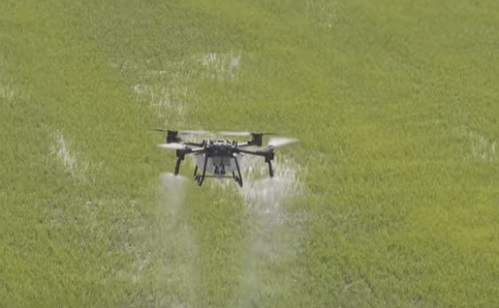 Mesterséges intelligencia - Új munkahelyet is teremtenek a mezőgazdasági drónok