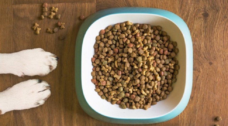 Önműködő, számítógéppel vezérelt raktárral is fejleszt Bükön a Nestlé Purina
