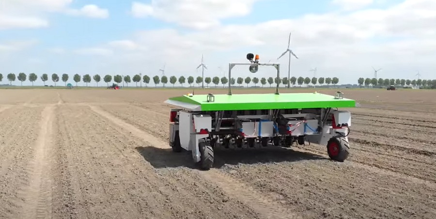 Mesterséges intelligencia - Hagymaültetvényen kápráztatta el egy agrárrobot a nézőket