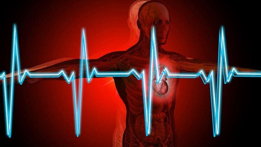 Rejtett szívbetegségeket ismer fel EKG-ből az innovatív mesterséges intelligencia-eszköz 