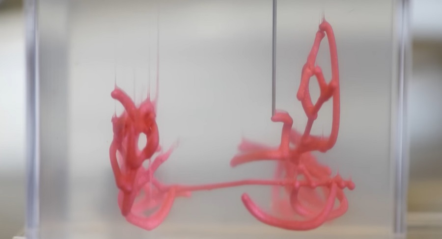 Valósággá válhatnak a 3D nyomtatott szervek