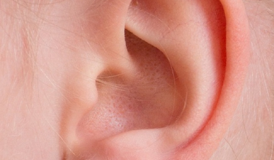 Belső fül-betegséghez köthető a rossz szájhigiénia