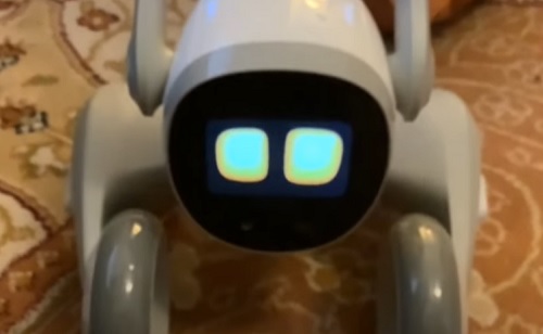 Mesterséges intelligencia - Háziállatnak is elmegy, valójában figyelőrobot a Loona