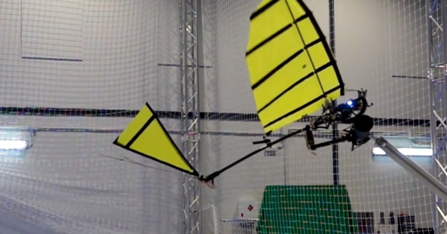 Mesterséges intelligencia - A szárnyas robot már úgy landol, akár a madár
