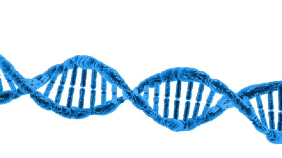 Rák és lepedék ellen is küzdhet a CRISPR technológia a fogászatban