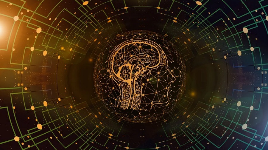 Agyfolyadékok áramlását segít kimutatni a mesterséges intelligencia