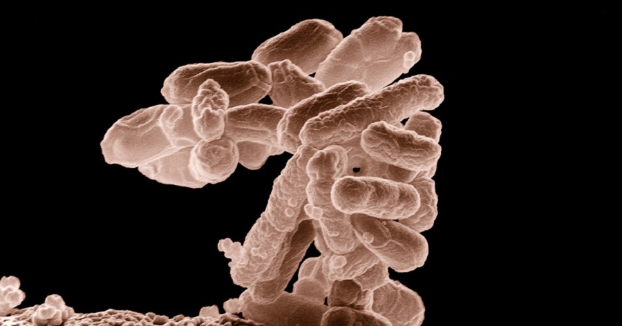 Mesterséges intelligencia fedezett fel egy szuperbaktérium-gyilkos antibiotikumot