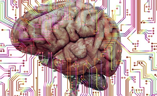Mesterséges intelligencia - Emberi agysejteken működnek majd a jövő számítógépei?