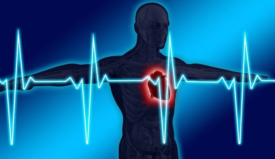 Korán jelzi a szívbetegség esélyét a mesterséges intelligencia 