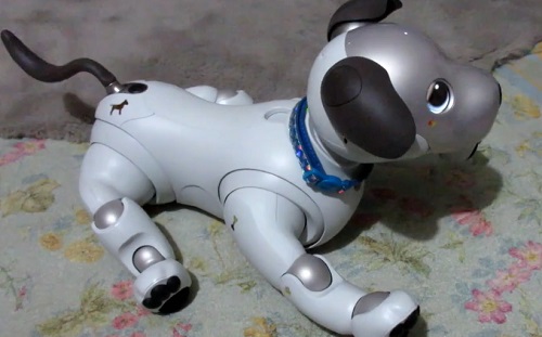 Mesterséges intelligencia - Nevelőszülőket kapnak a robotkutyák