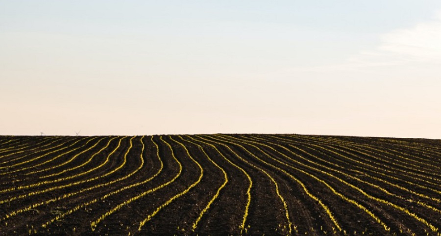 A technológiai innovációkból a mezőgazdaság sem maradhat ki