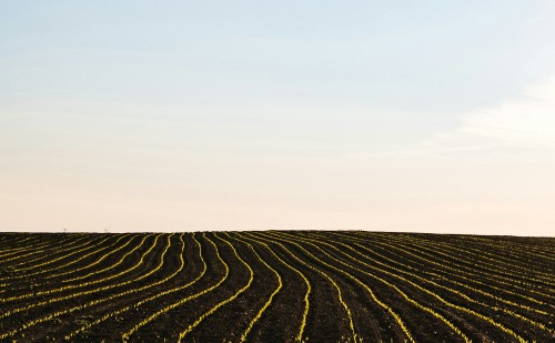 Újabb digitalizáció a mezőgazdaságban