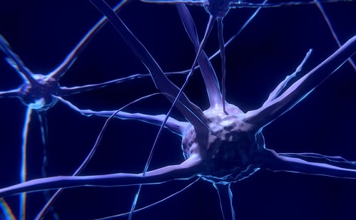 Ez gyorsítja fel az agy öregedését – mesterséges intelligencia-eszköz árulta el