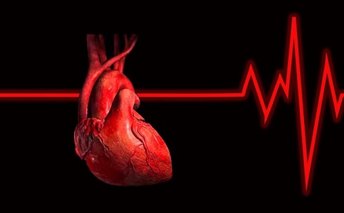 Szívelégtelenség? Korai diagnosztikával a mesterséges intelligencia életeket hosszabbíthat meg