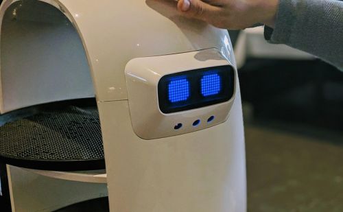 A robotpincér, akit jobban szeretnek, mint az embereket