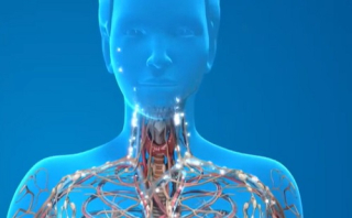 Kockázatos pajzsmirigy csomókat azonosít a mesterséges intelligencia