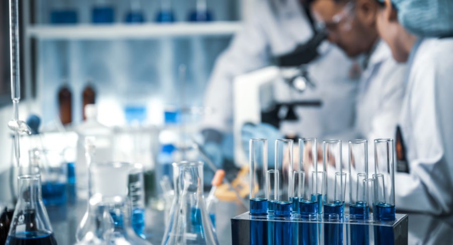 gmi_betegsegek_Ellen_torzs