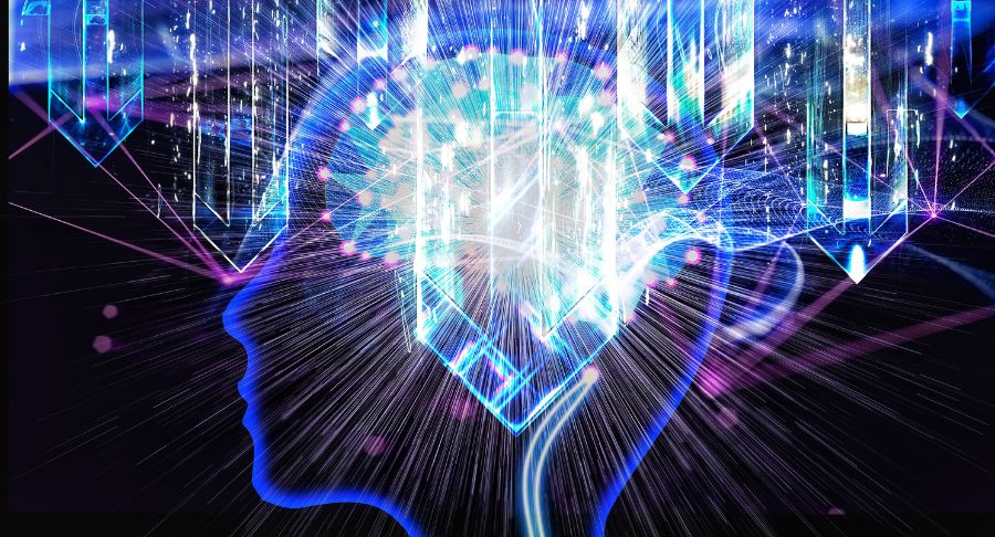 kkv_hatkonysag_torzs