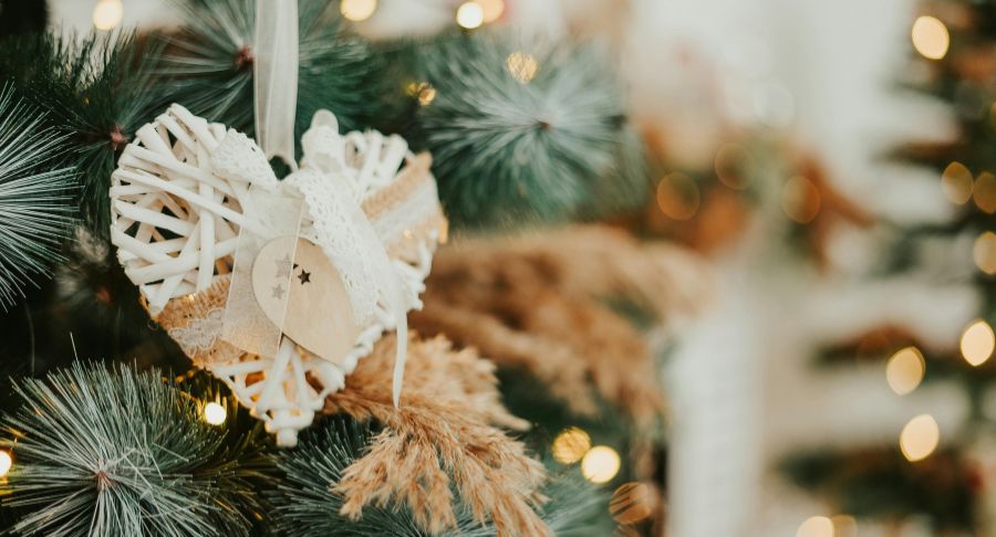 kkv_mi_karacsiny_torzs