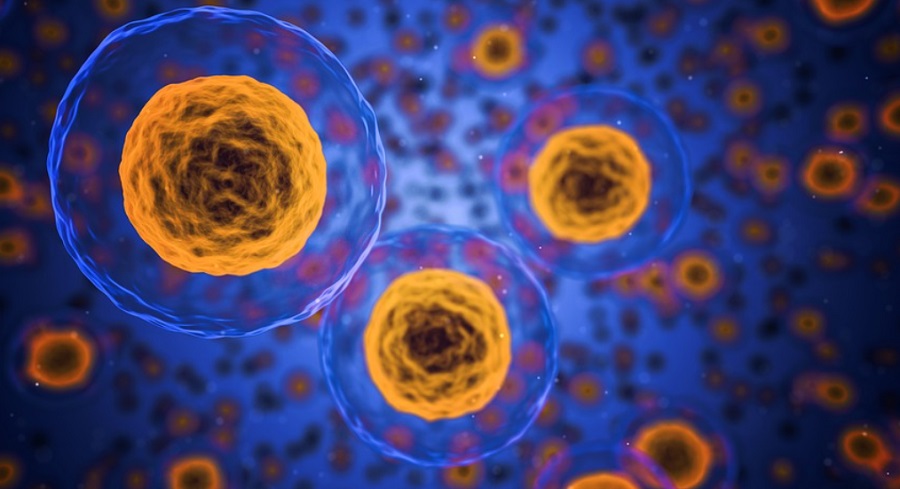 Szervezetvédő antitesteket tervez a mesterséges intelligencia