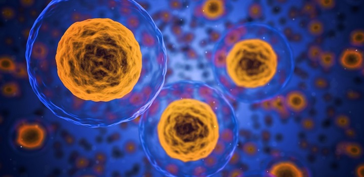 Szervezetvédő antitesteket tervez a mesterséges intelligencia