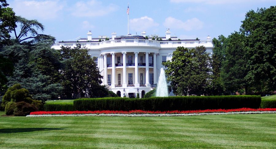 usa_mi_Export_torzs