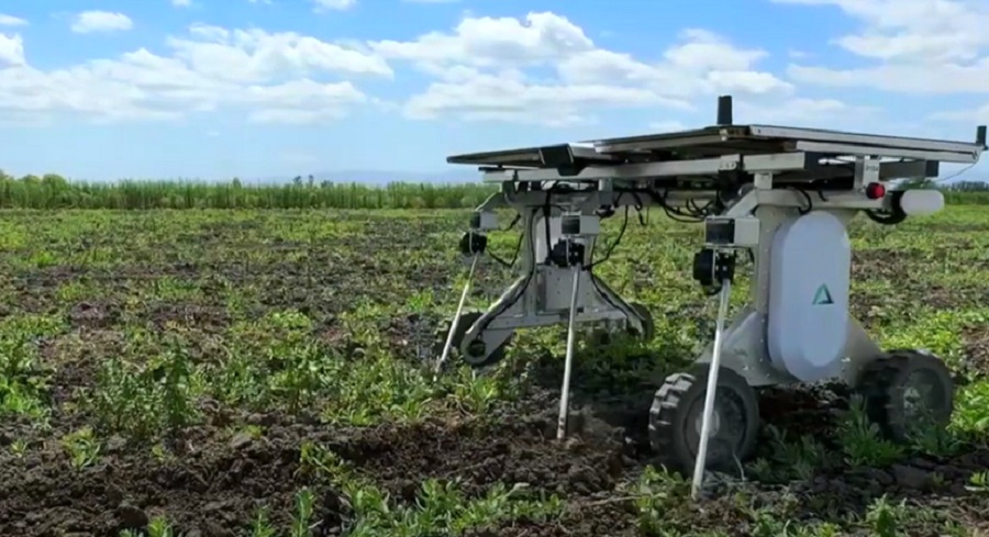 Mesterséges intelligencia a kormány mögött: munkában az új napelemes gyomláló robot